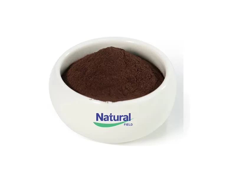 Pygium Africanum Powder: 남성 전립선 건강 보호