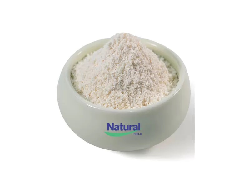 글루타티온 리포좀 혜택: 정사이즈 GSH를 능가하는 이유