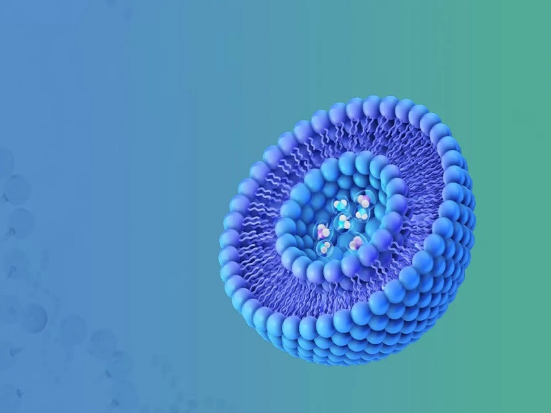 인도 10 대 리포솜 제조업체