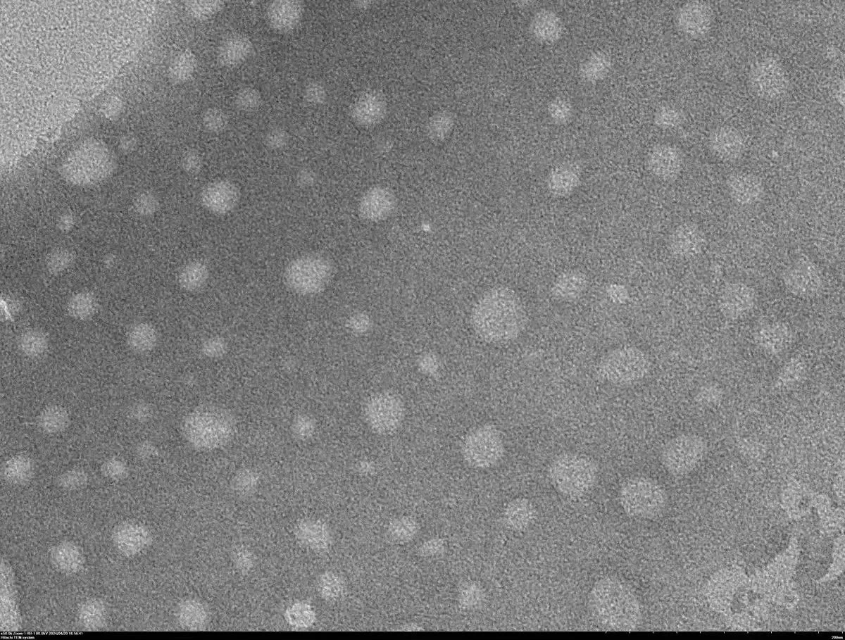 Our Advantages Our Advantages