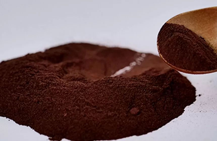 Pygium Africanum 추출물 분말 공장으로 자연 필드를 선택하는 이유는 무엇입니까?