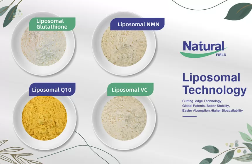 Liposomal NMN 분말 제조업체로 자연 필드를 선택하는 이유는 무엇입니까?