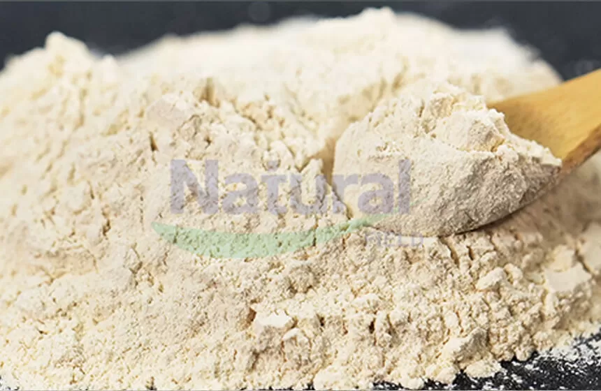 왜 당신의 크레아티나 리포솜 분말 공급 업체로 자연 필드를 선택합니까?