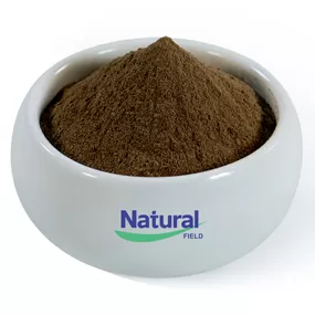 바코파 몬니에라 추출물 분말