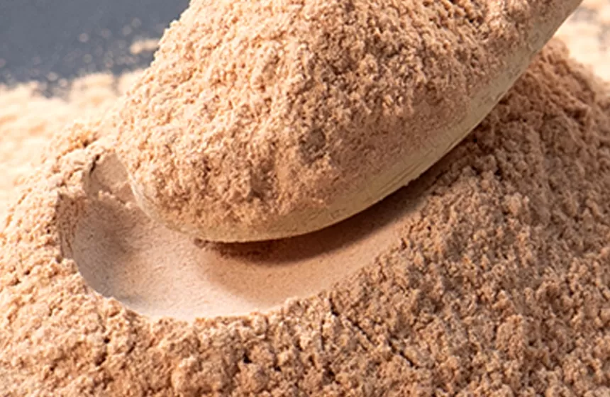 녹차 추출물의 특징