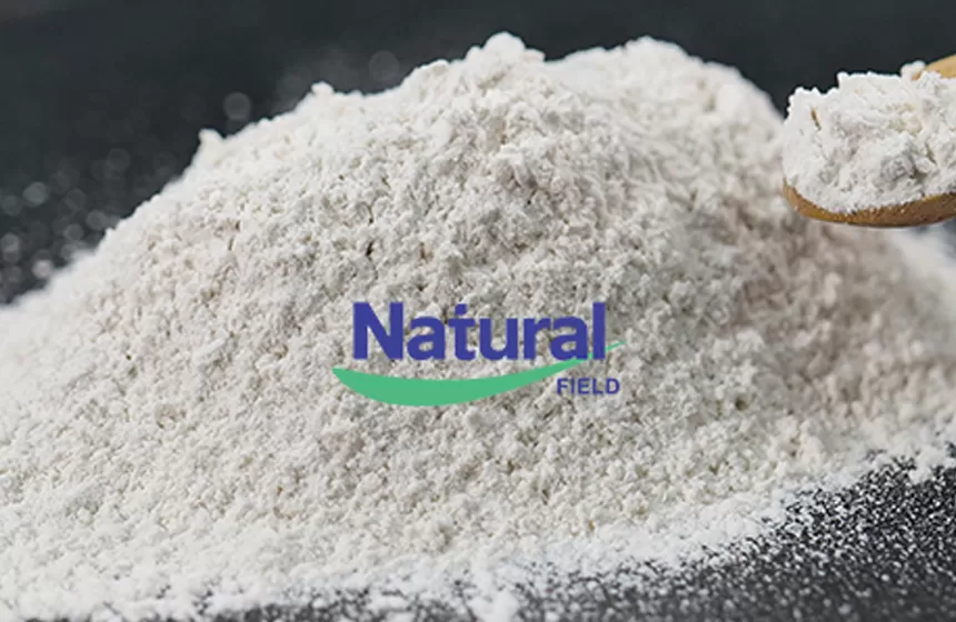 멜라토닌의 사용