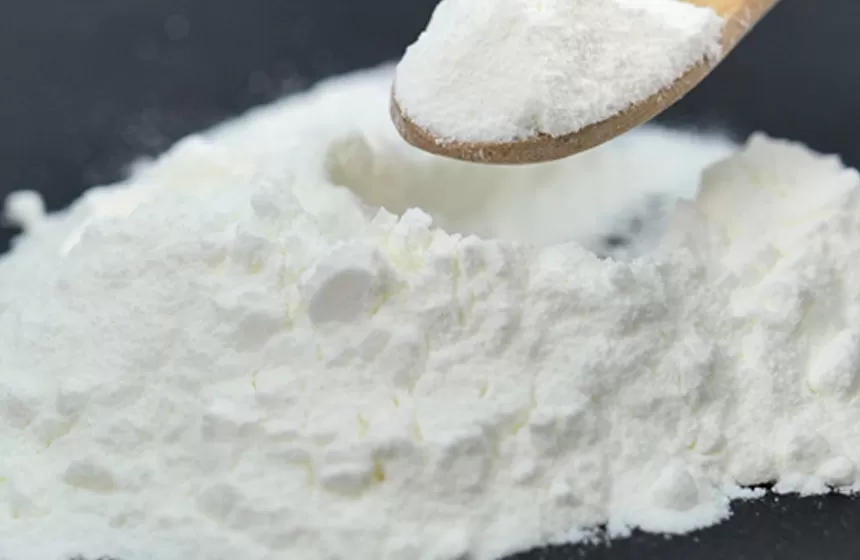 Probiotics 분말 행동 메커니즘