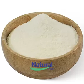 Β-니코틴아미드 모노뉴클레오타이드