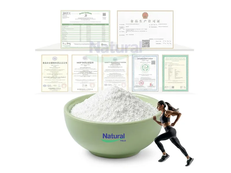 BCAA 해설: 분지사슬 아미노산이란 무엇이며 근육 건강에 어떻게 도움이 될까요?