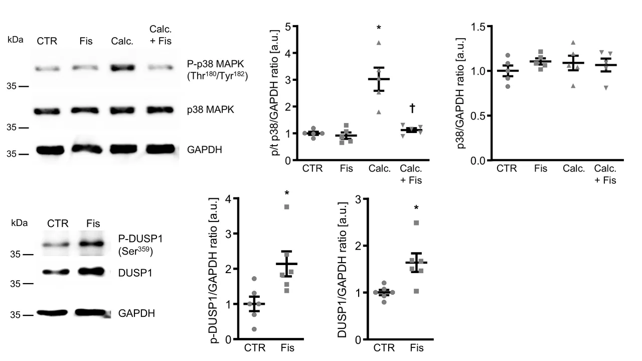 Experimental Design and Results
