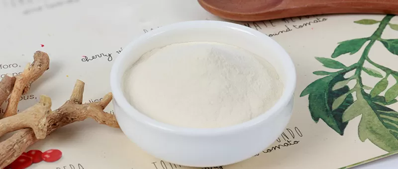 2025 천연 성분 및 건강 제품 혁신 포럼 발표 2025 천연 성분 및 건강 제품 혁신 포럼 발표