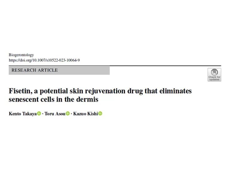 Fisetin: 피부 노화 방지 가능성에 대한 새로운 가능성을 잠금 해제하는 피부층의 노화 세포의 표적 제거
