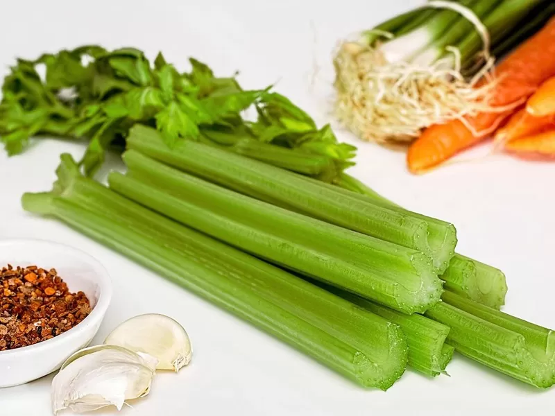 식이 플라보노이드 아피 게닌에 대한 새로운 발견: 노화 방지 메커니즘, 다기능 건강 보호의 돌파구