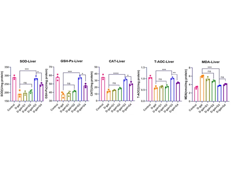 노화 방지의 과학적 돌파구: Co-loaded CoQ10 Liposomes는 노화를 지연시킬 수있는 다차원 잠재력을 보여줍니다