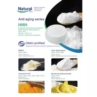 자연 필드 2025 안티 에이징 시리즈