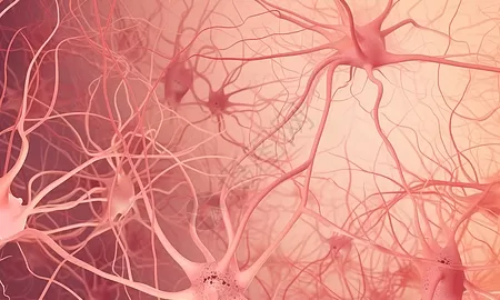 The "Protective Shield" of the Nervous System The "Protective Shield" of the Nervous System