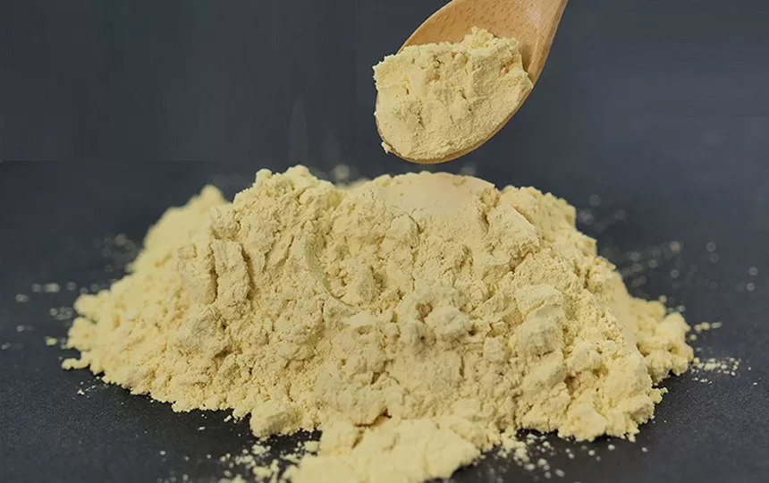 건강하고 활력을 유지하는 비결: 면역 강화