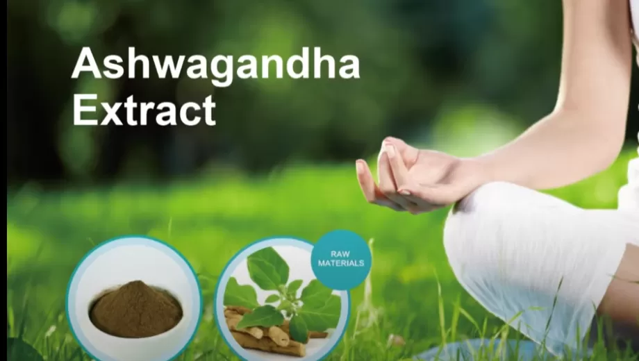 Ashwagandha 추출물
