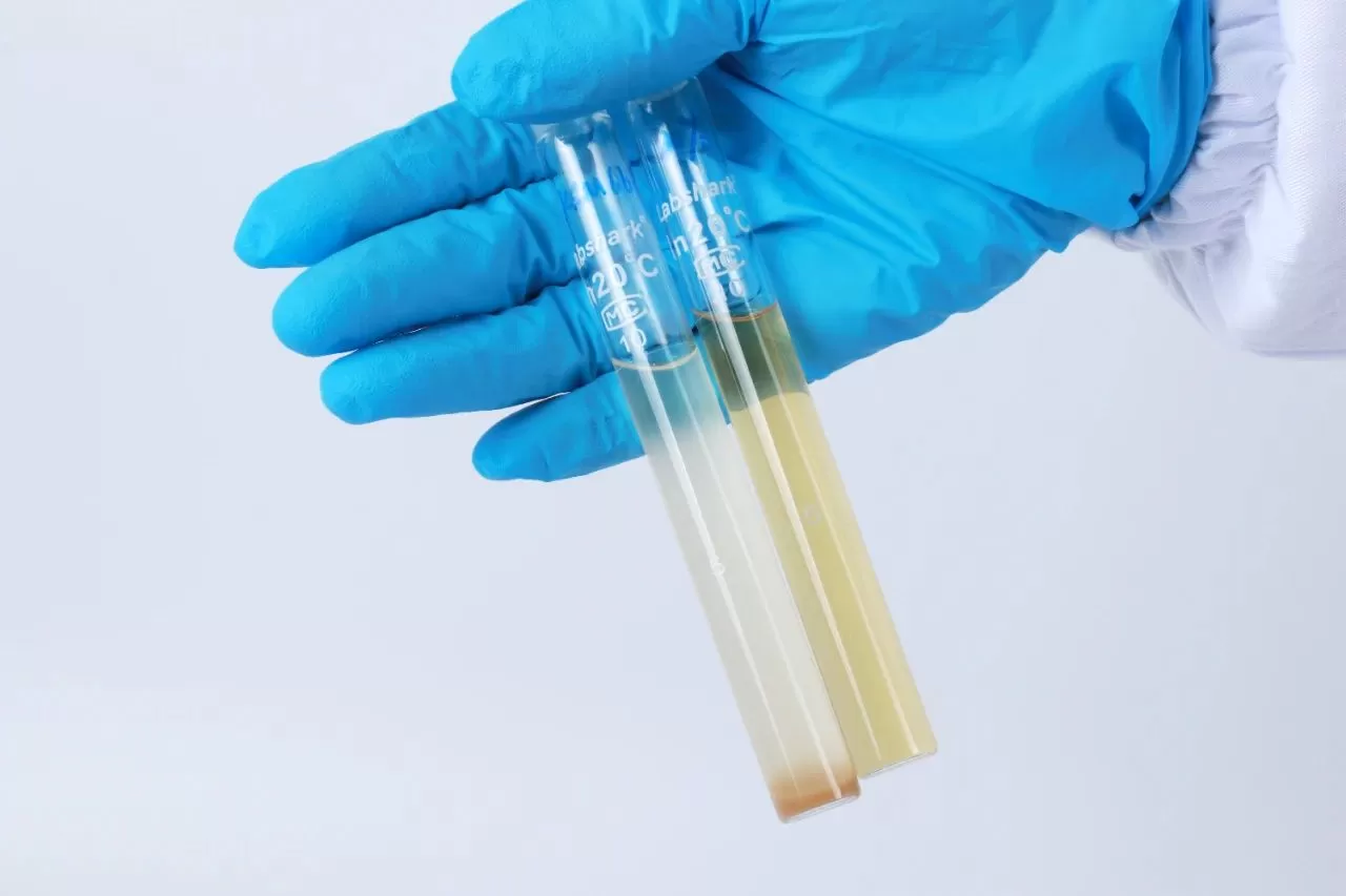 Unlimited Market Potential Unlimited Market Potential