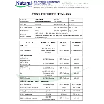 NF-COA 베르베린 염산염