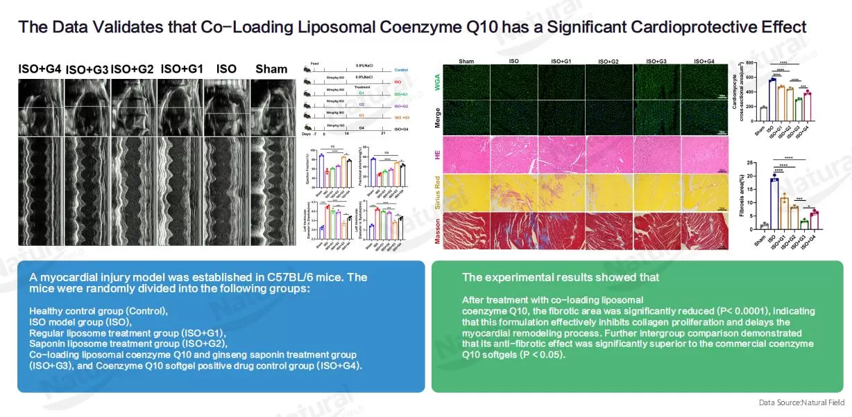 cardiaprotective-effect