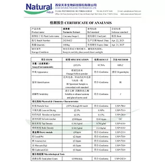 심황 추출물 95%
