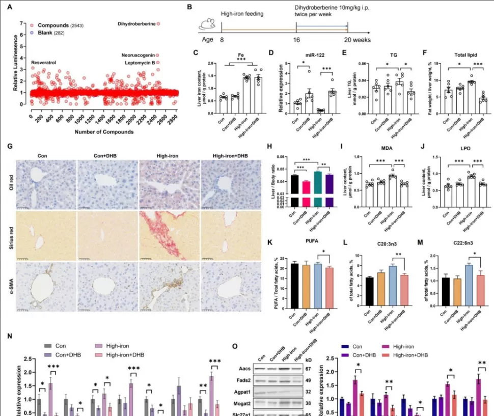 The Hepatic Benefits of Dihydroberberine The Hepatic Benefits of Dihydroberberine
