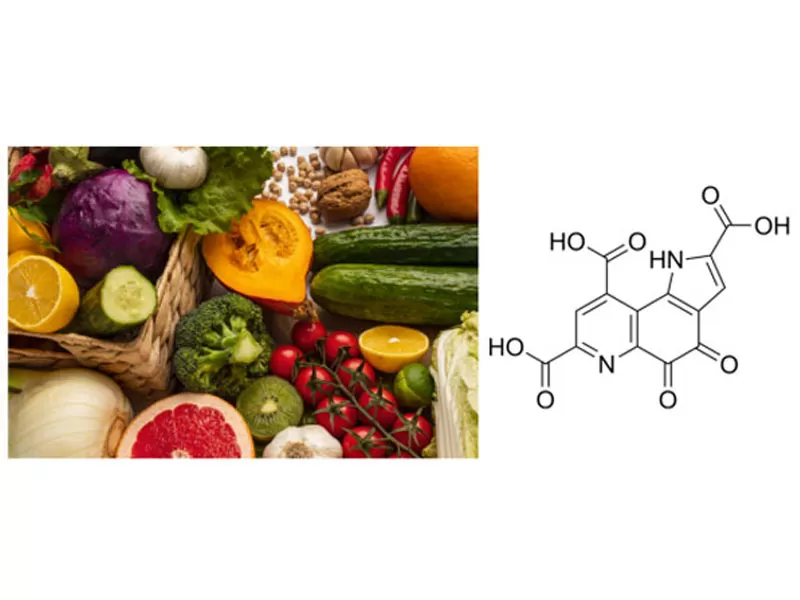 더블 탑 저널 승인! PQQ는 노화 방지 인도로 인정