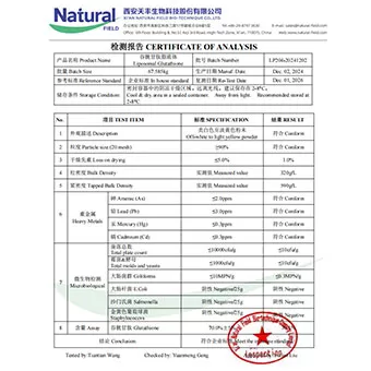 NF-COA 글루타티온 리포좀 70%