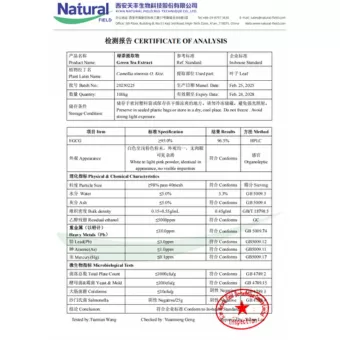 NF-COA 녹차 추출물 (EGCG)