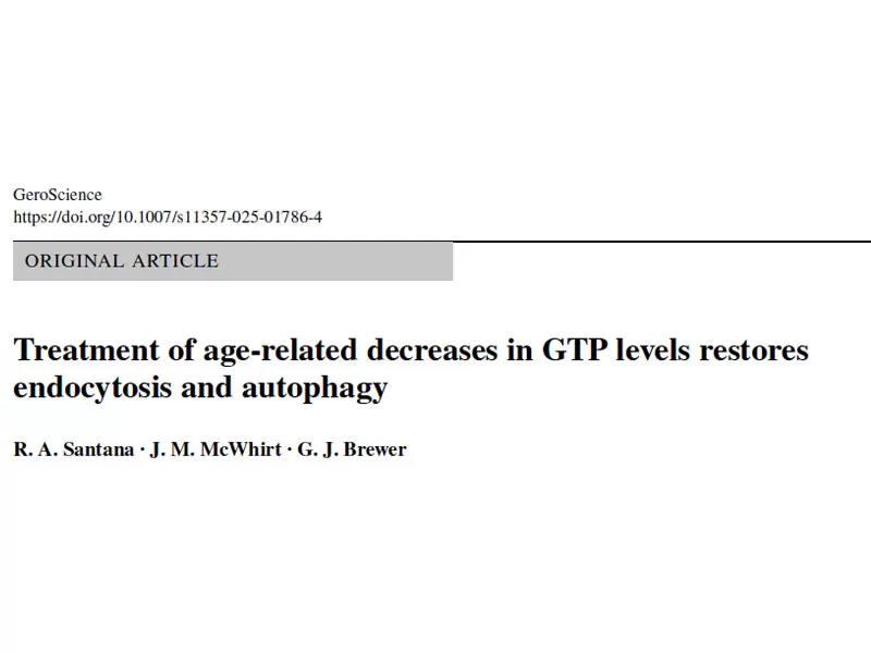최신 연구 이 비타민 녹차 화합물은 뇌 세포 에너지 수준을 빠르게 회복 할 수 있습니다
