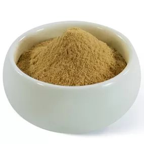 사자갈기 버섯 분말