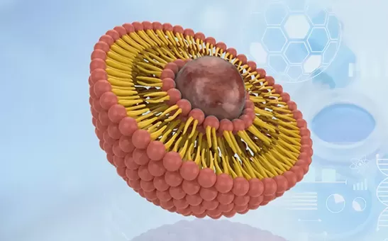 Liposome 핫스팟은 노화 방지 NAD, 피부 침투 미용 및 애완 동물 건강에서 10 억 달러의 웨이브를 타고 2025.