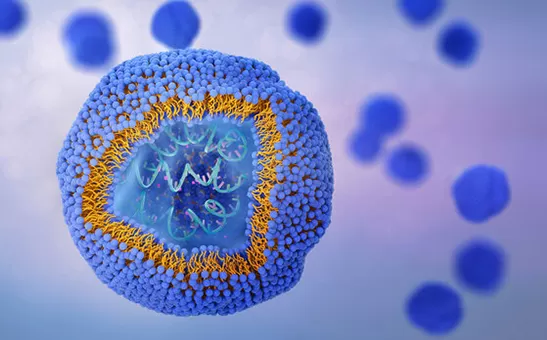 영국 10 대 리포좀 제조업체