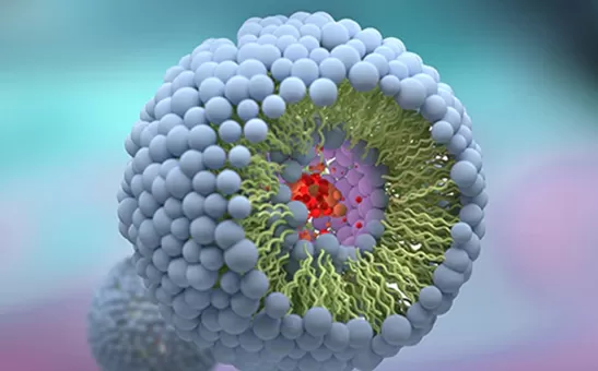 미국 10 대 리포솜 제조업체