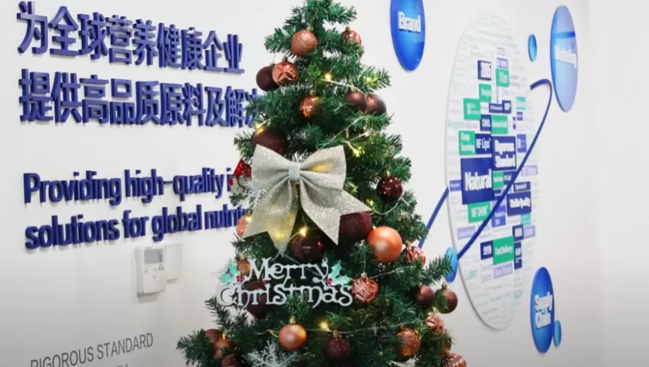 메리 크리스마스