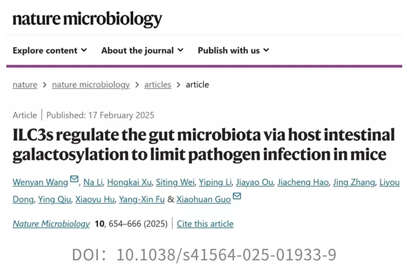마음을 날리는: Probiotic Akk 박테리아는 특정 면역 조건에서 병원균을 지원합니다