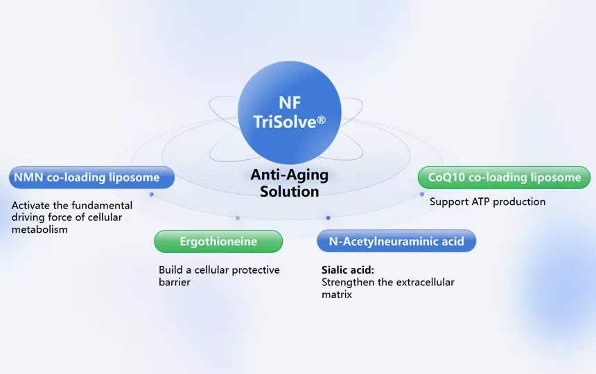 NF Trisolve® 안티에이징 솔루션