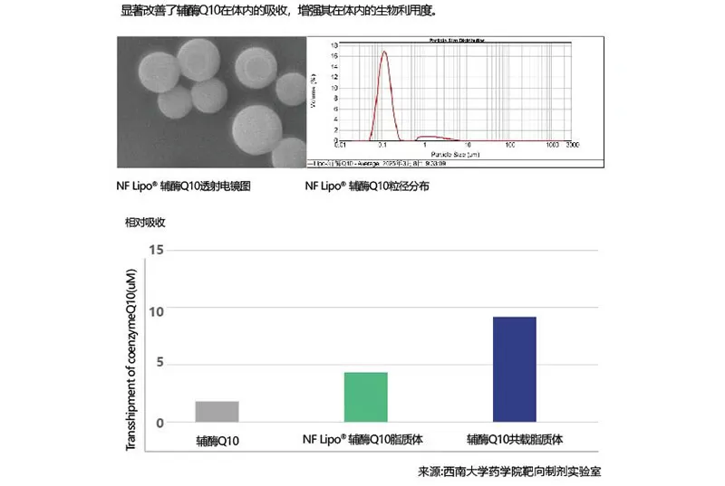 Co-loaded Liposome Technology: Tackling CoQ10’s Absorption Challenges and Boosting Bioavailability Co-loaded Liposome Technology: Tackling CoQ10’s Absorption Challenges and Boosting Bioavailability