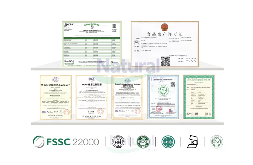 리포솜 Q10 파우더 제조업체로 자연 필드를 선택하는 이유는 무엇입니까?