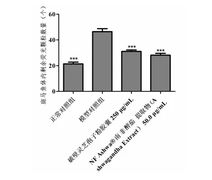 Enhancing Immunity Enhancing Immunity
