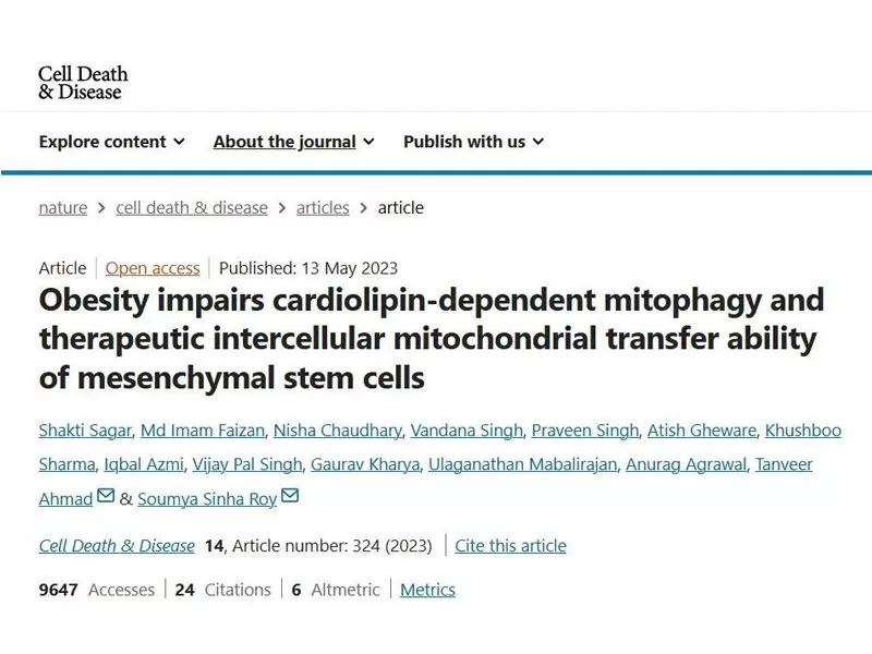 노화에 대한 전투: PQQ가 세포 젊음을 되살리는 방법
