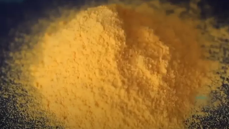 심황 추출물의 힘 잠금 해제