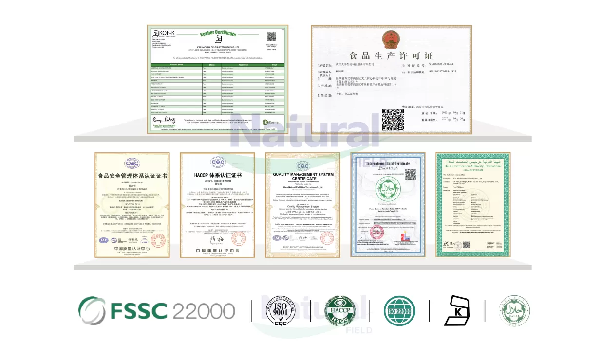왜 우리가 신뢰할 수있는 Curcuma Longa 추출물 공급 업체로되어 있습니까?